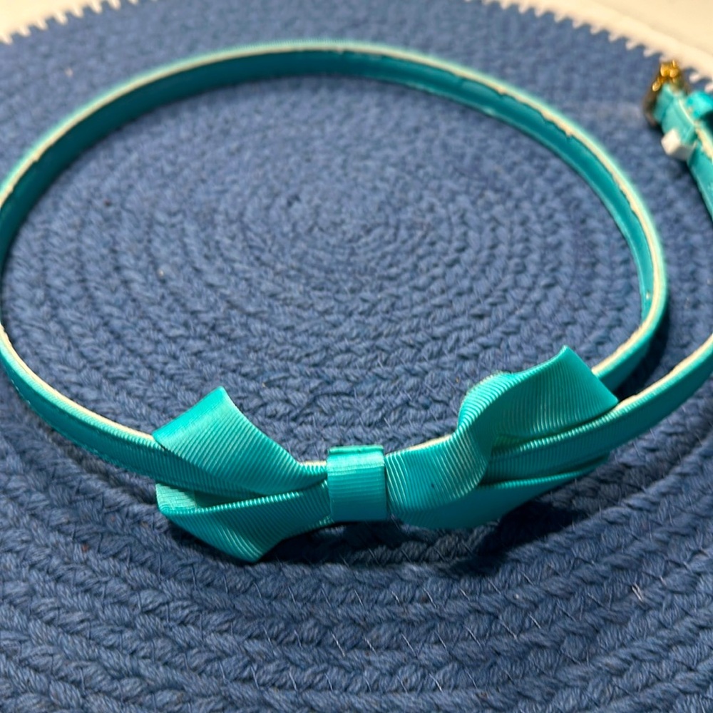 Lilly Pulitzer aqua belt